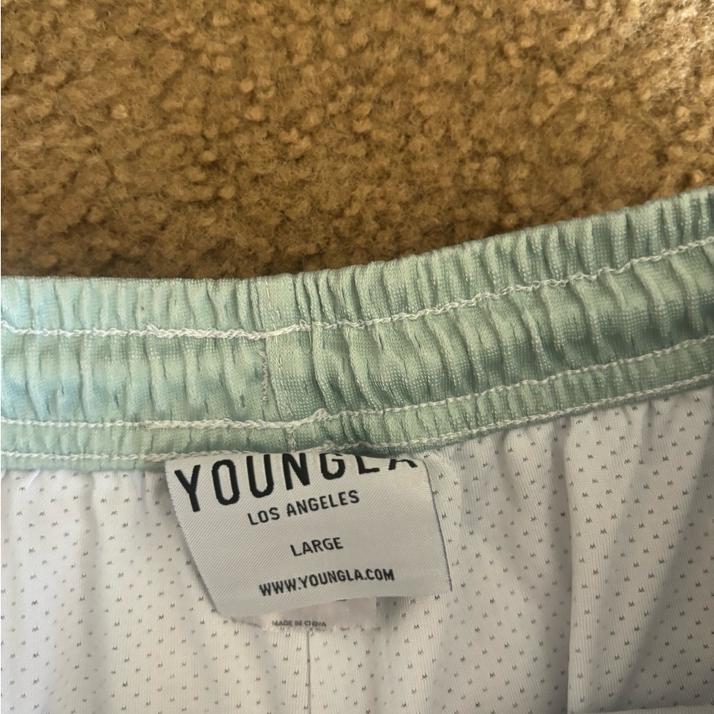 YoungLA Young LA Mens Shorts ~ Size Large The Block Party - Picture 3 of 6